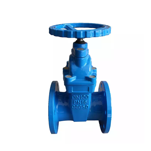 Gate valve  HS7-GV1002