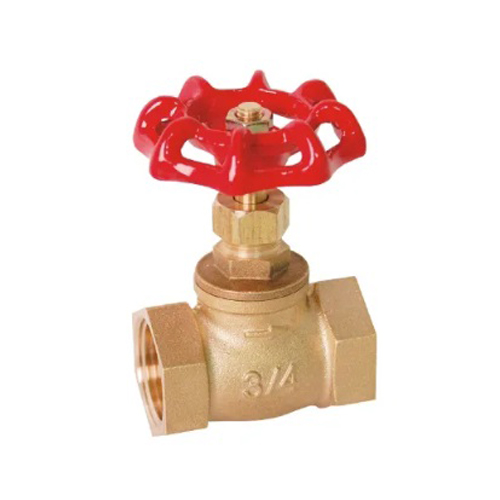 Understanding the Technical Features of Globe Valves